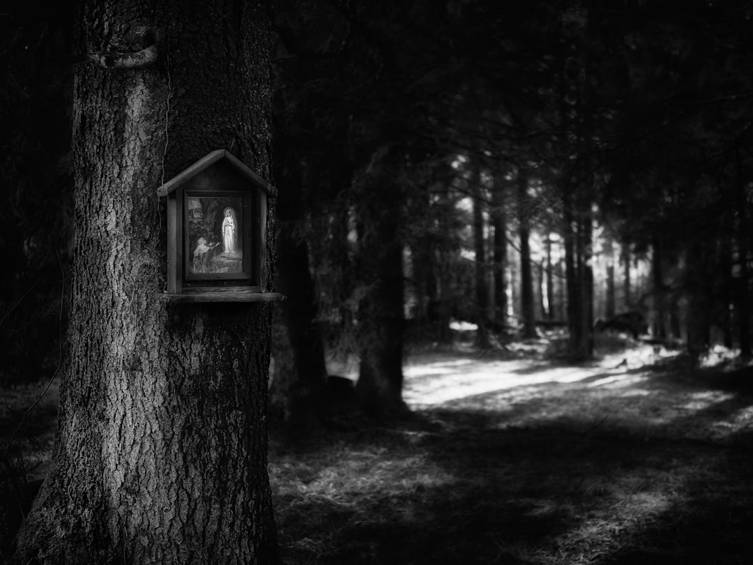 Natural landscape photo spot SalzburgerstraÃŸe 263b Kitzbuhel