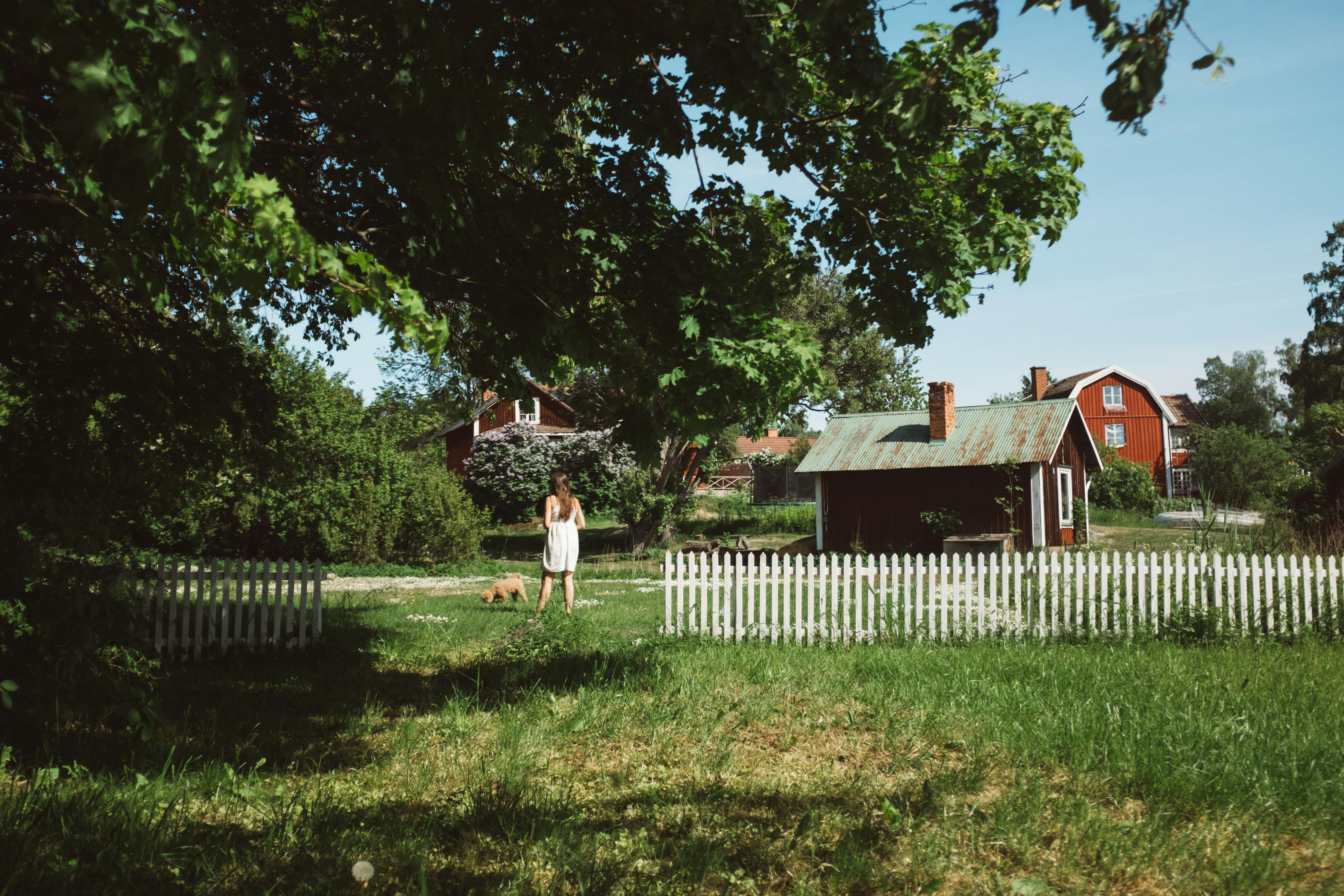 woman standing beside dog in green lawn