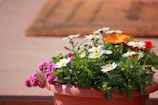A colorful mosaic-patterned pot with blooming daisies in a cozy garden corner.