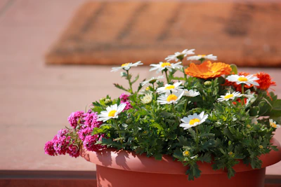 A colorful mosaic-patterned pot with blooming daisies in a cozy garden corner.