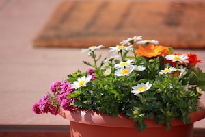Floral Print Doormat