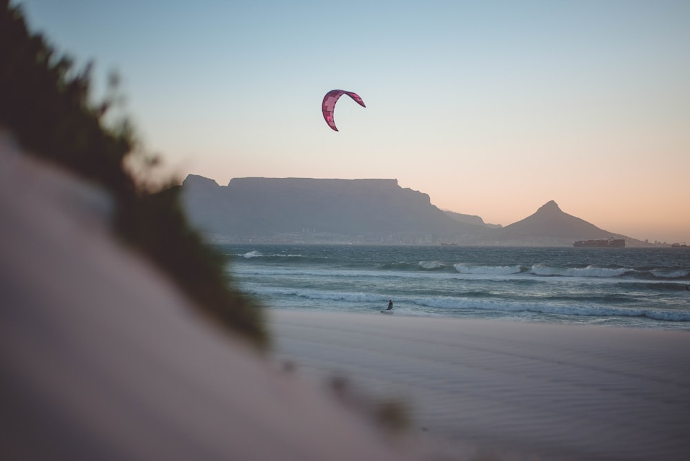 person riding parachute landing on seashore during daytime