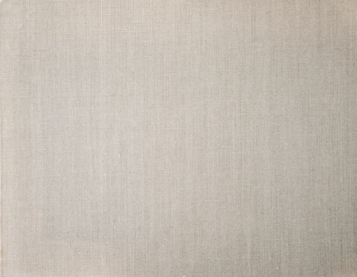 Raw cotton fibers in close-up