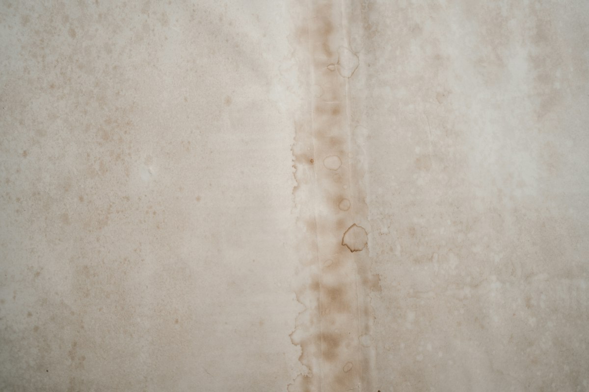 A brown damp stain spreading across a white wall