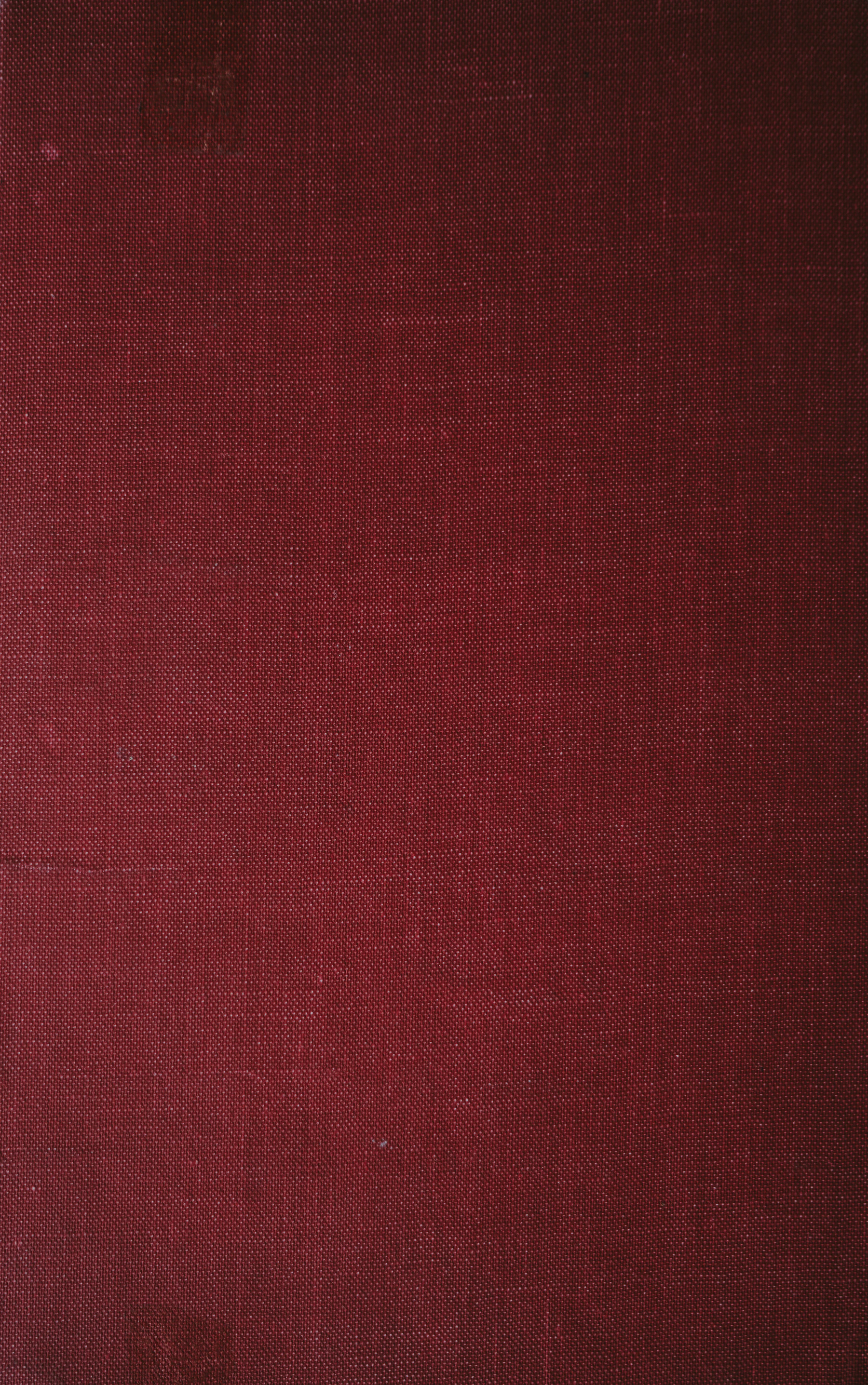Close-up of pale woven linen fabric in warm natural light