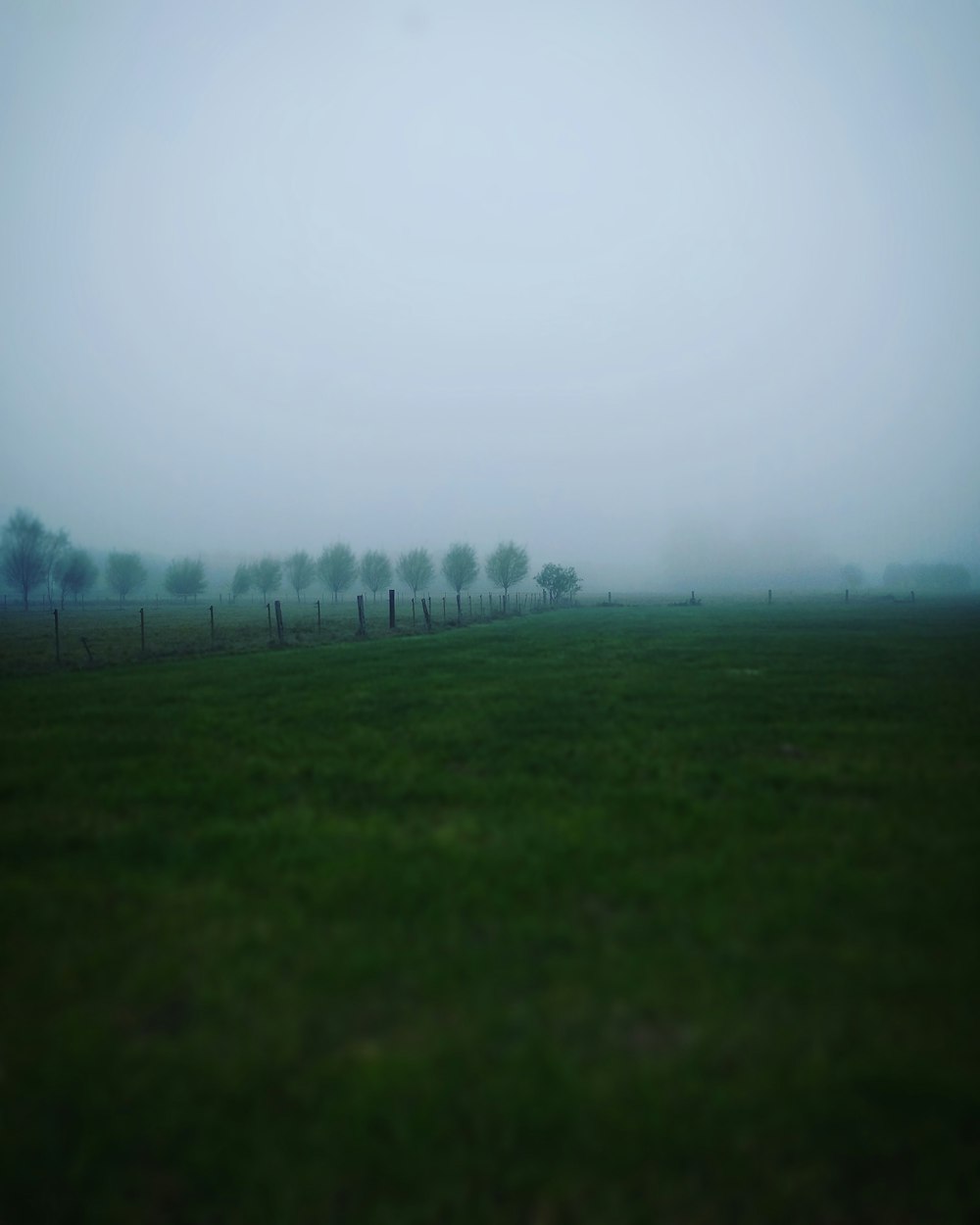 green field with rail and fogs