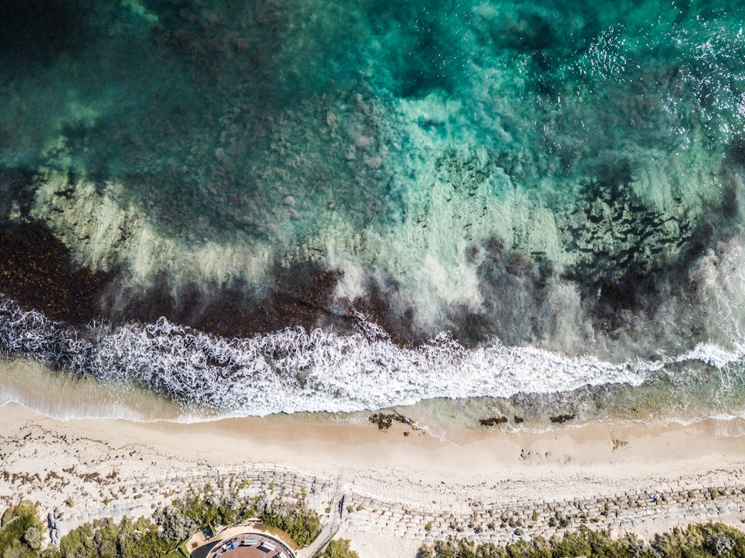 travelers stories about Beach in 37 Tourist Drive 204, Australia