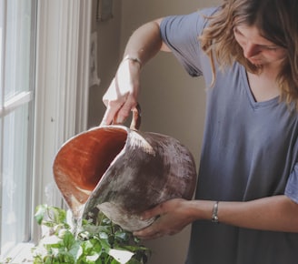 indoor plants let’s make room for nature