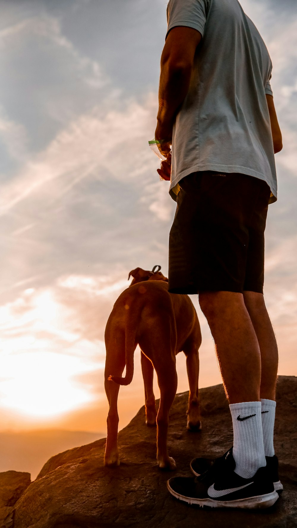 man standing near brown dog at golden hour