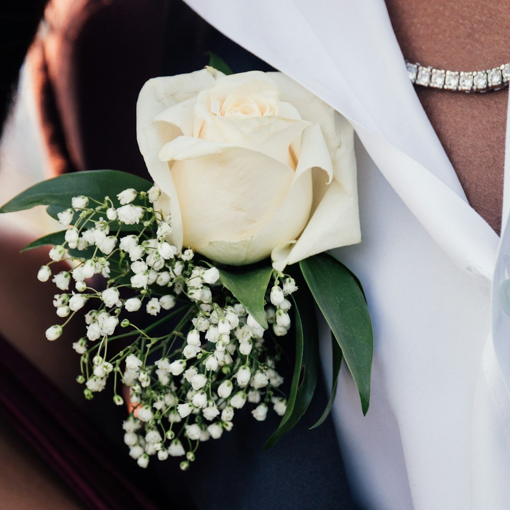 white rose closeup photography