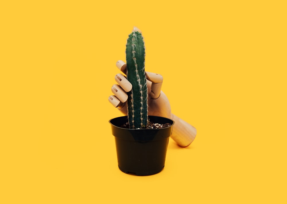 manichino a mano che tiene pianta di cactus verde