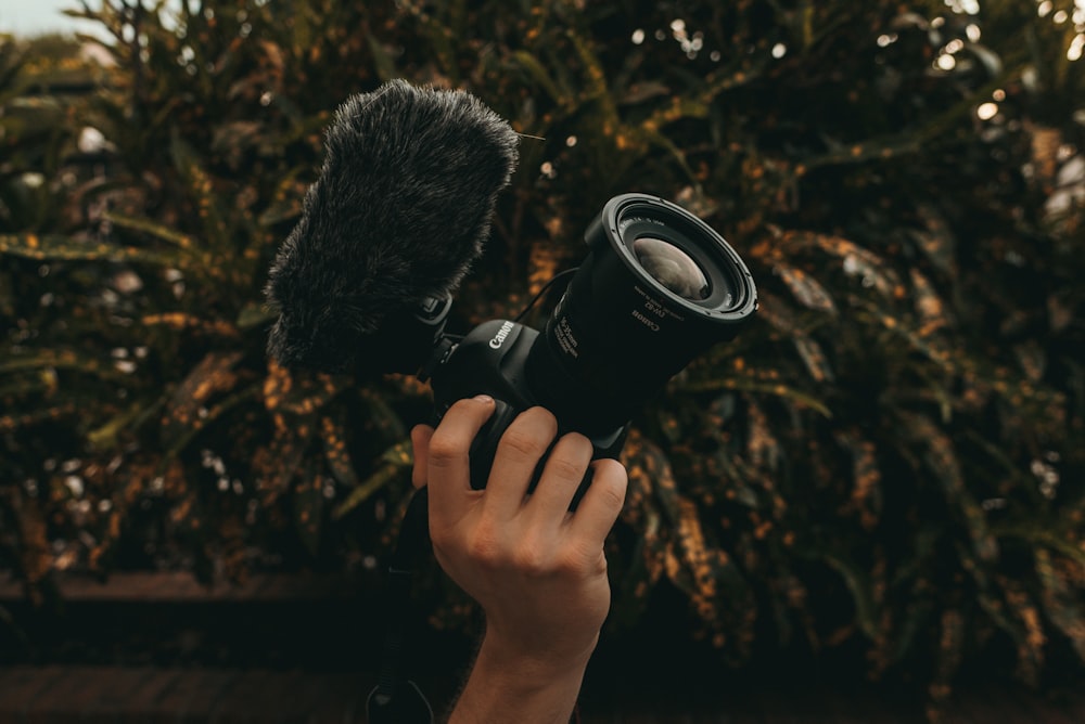 person holding video camera