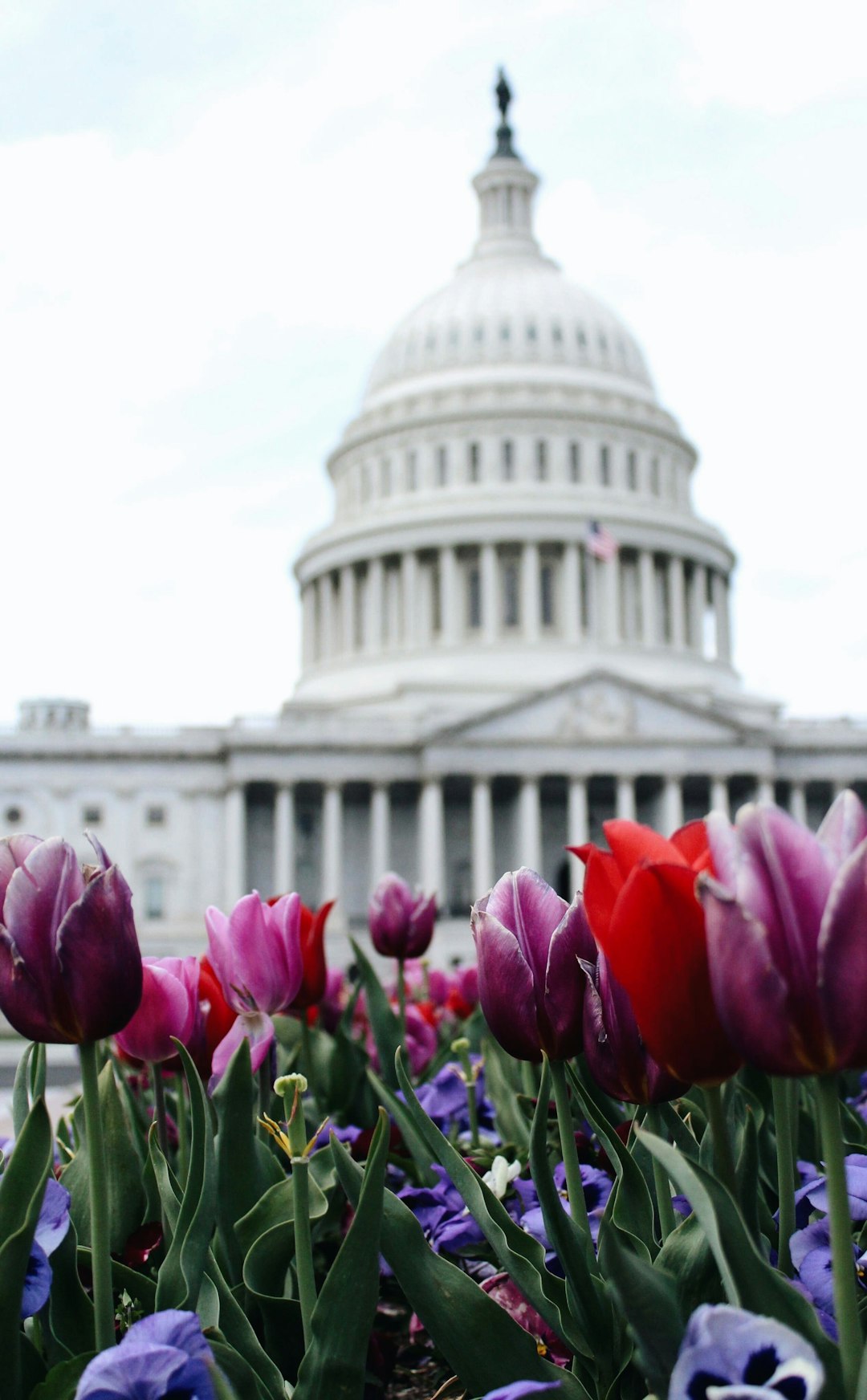 Landmark photo spot United States Capitol Mount St. Mary's University