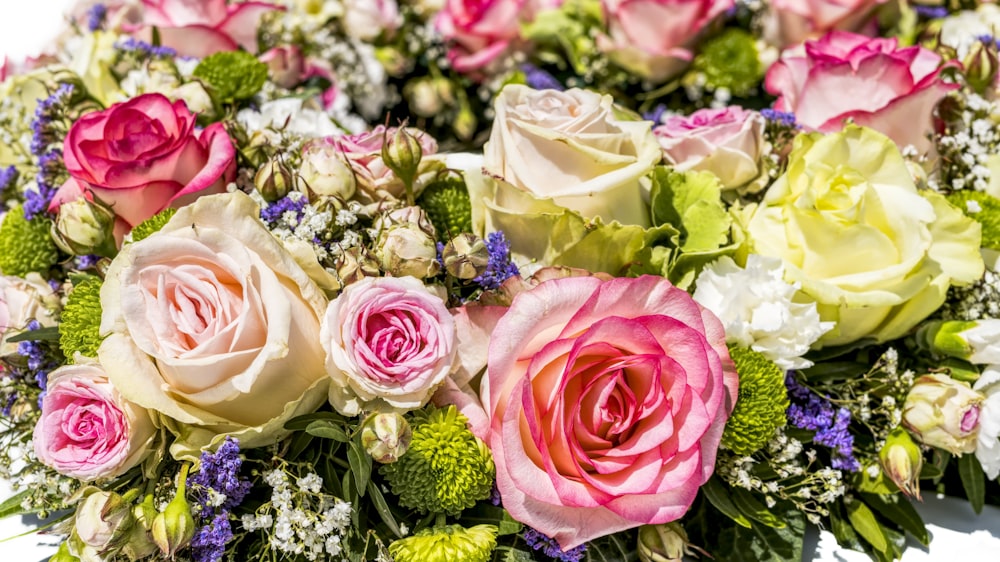 white, pink, and green flower plant on white surface