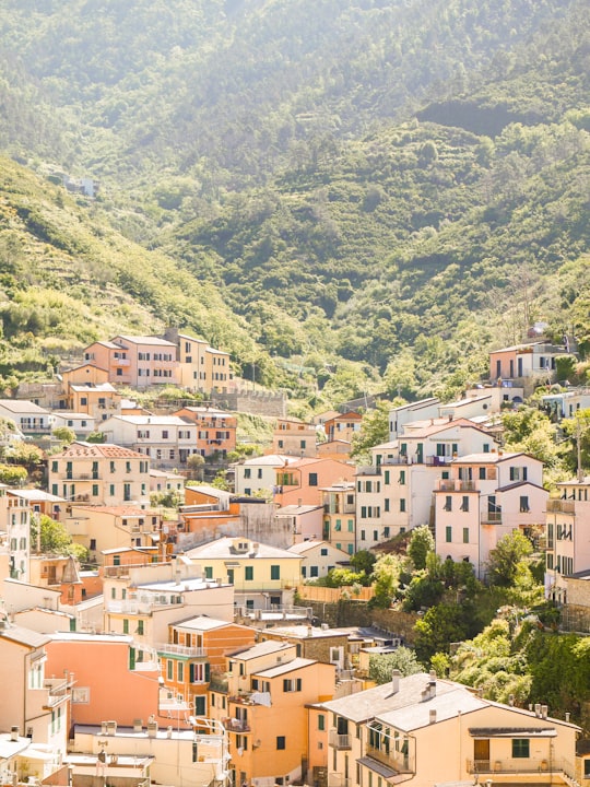 photo of Vernazza Town near Paraggi