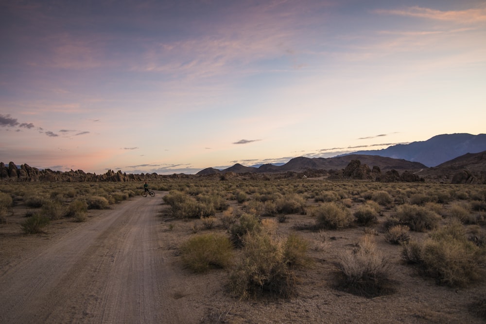 road surrounded of grass