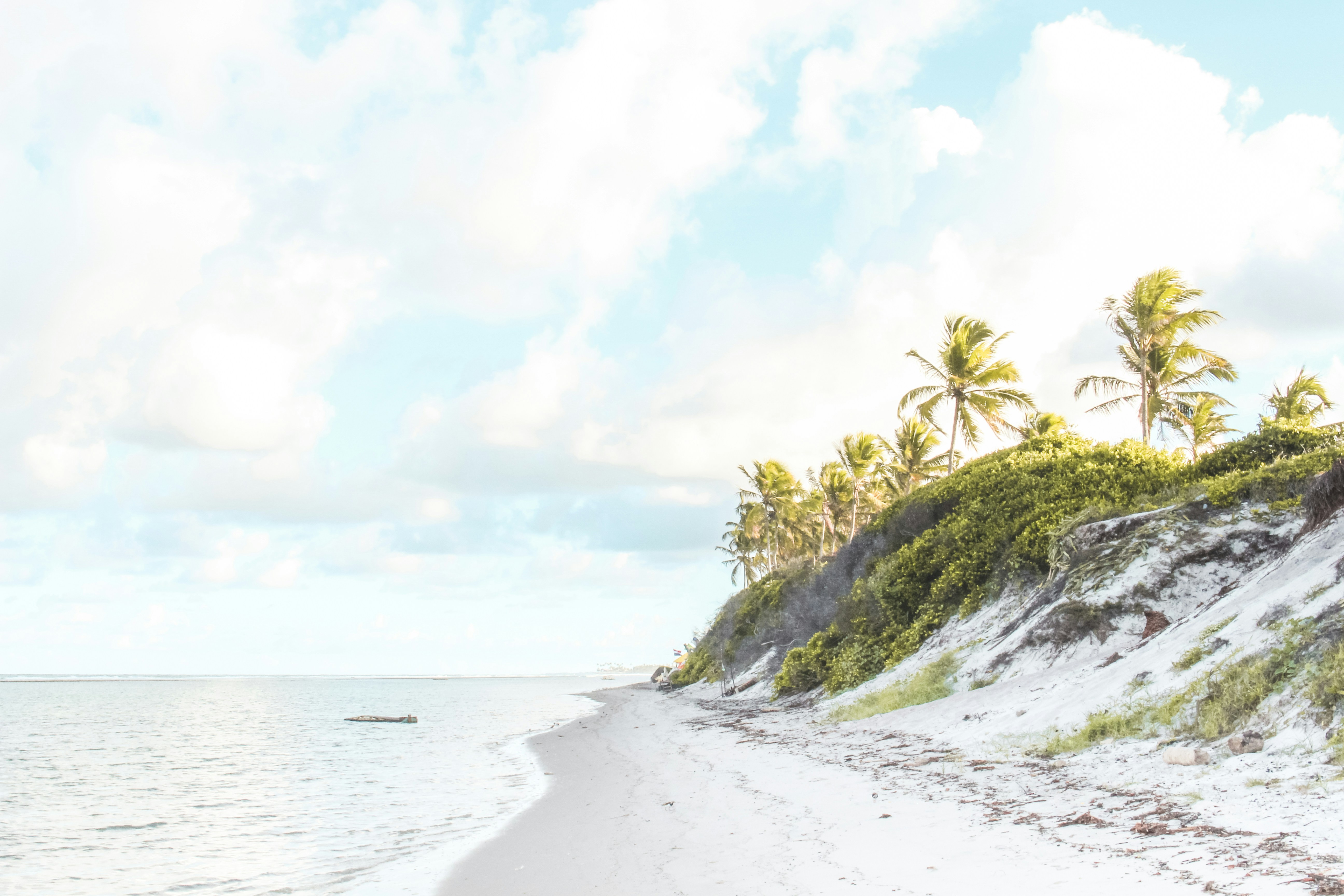 seashore near seat under white sk, Deserted Beach in Pernambuco, Brazil