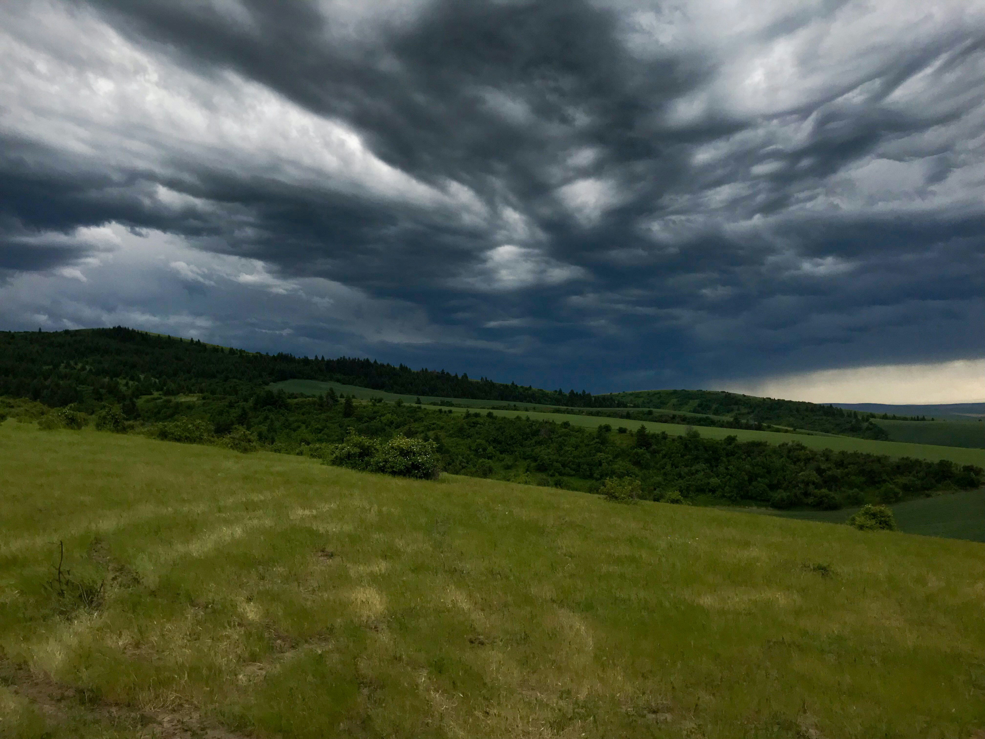 Kemmanagundi hill station - rolling green hills under dramatic storm clouds with moody atmospheric landscape