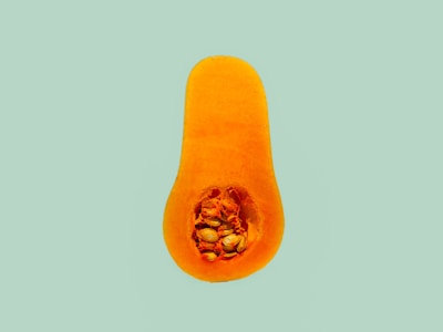 slice of squash