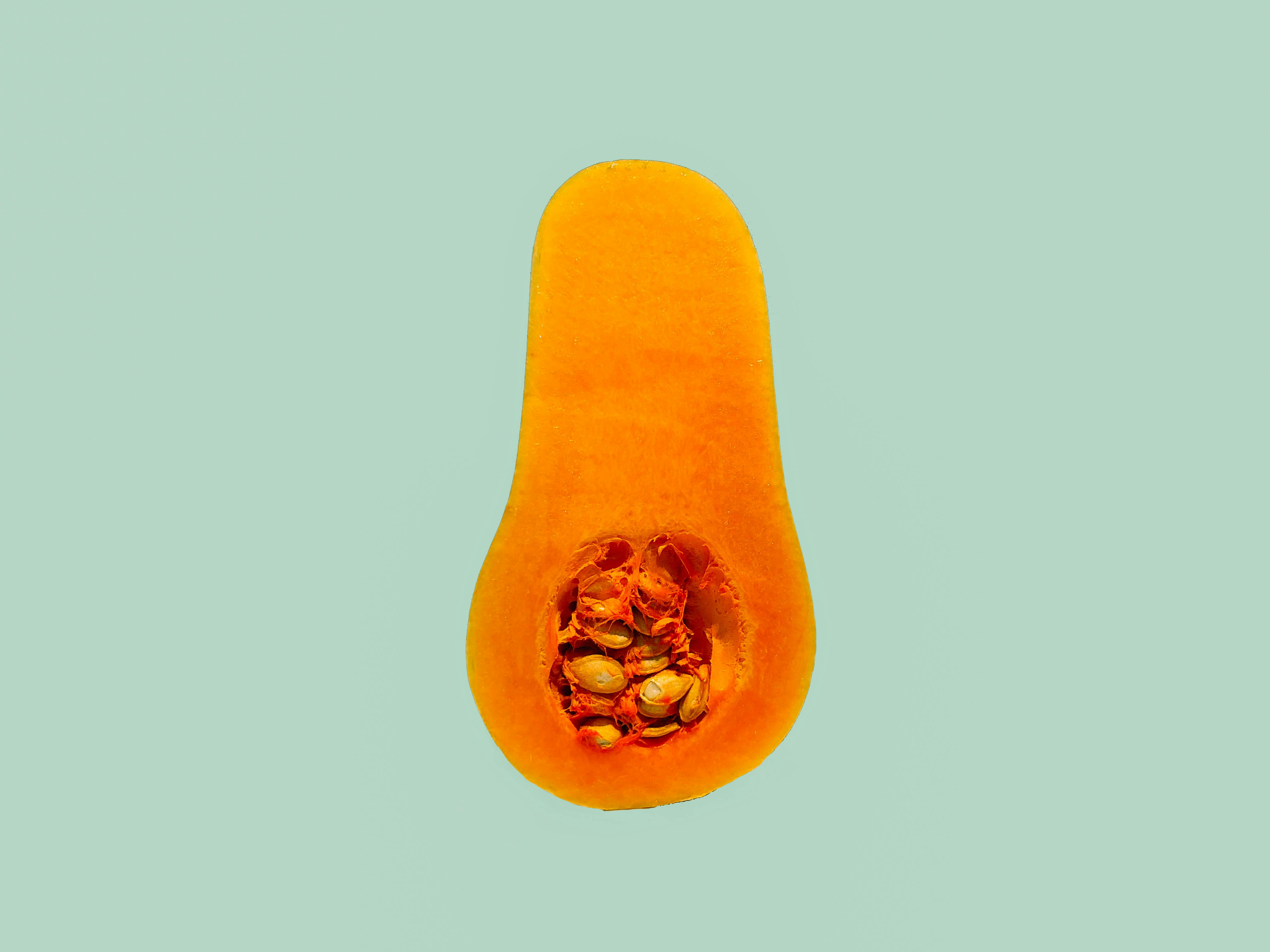 slice of squash