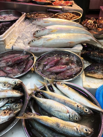 Various fresh fish and seafood are displayed on a market counter. Several types of fish, including silver and blue-toned fish, are arranged neatly in trays. Ice is used to keep the seafood fresh, and the setting appears to be a busy fish market with a variety of seafood offerings.