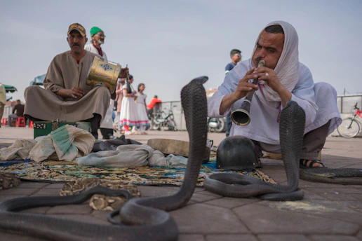 A man is sitting on a mat playing a traditional wind instrument, surrounded by cobras rising up. Another man beside him holds a drum. Several people are visible in the background, with bicycles present and a few people dressed in traditional clothing. The setting appears to be a bustling outdoor area.
