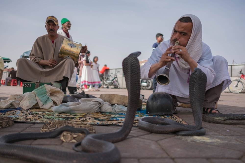 man playing flute in front cobras