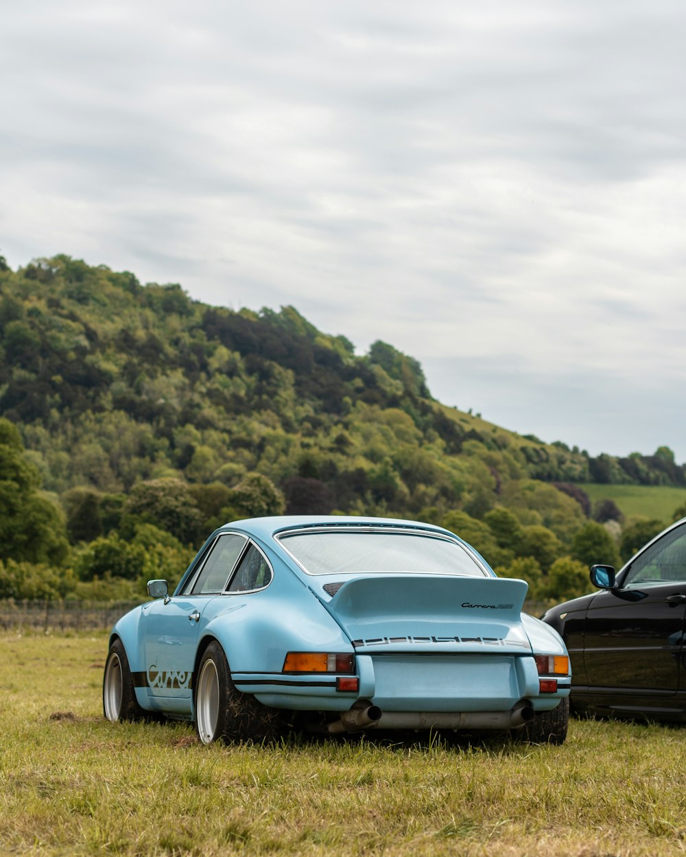 Blaue und schwarze Autos, die auf grünem Gras unter weißem, bewölktem Himmel geparkt sind