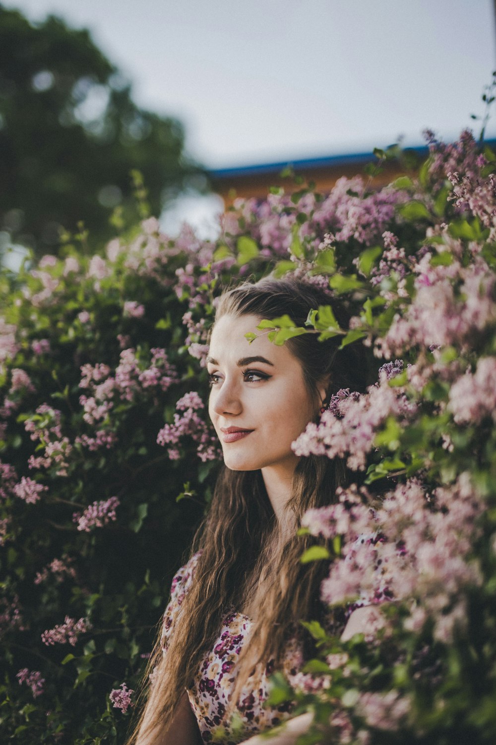 La donna può essere vista attraverso l'arbusto di fiori dai petali rosa durante il giorno