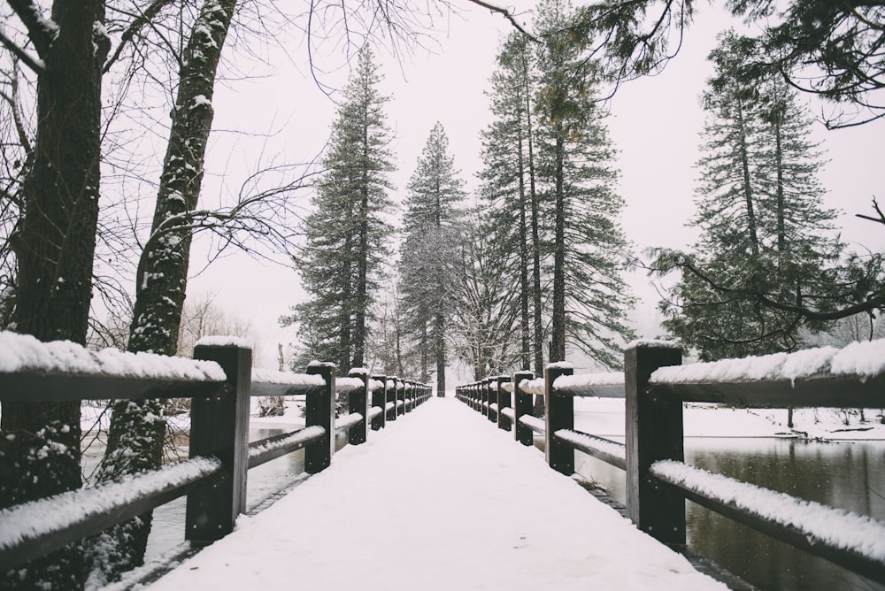 Caminho de madeira marrom com neve branca durante o dia
