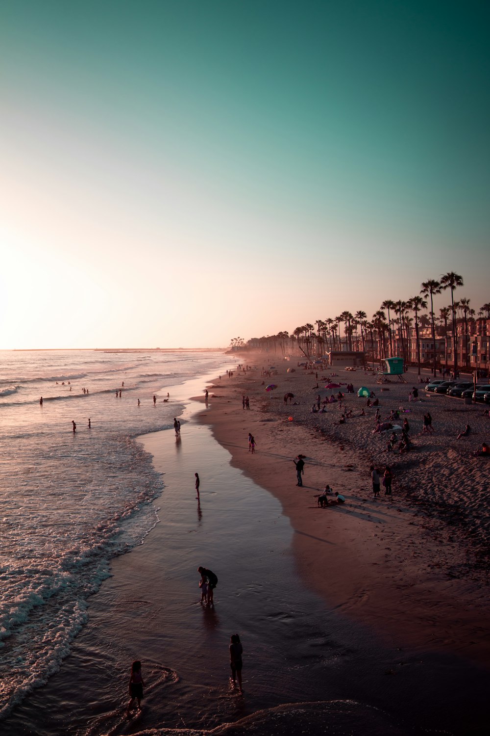 people on shore during daytime