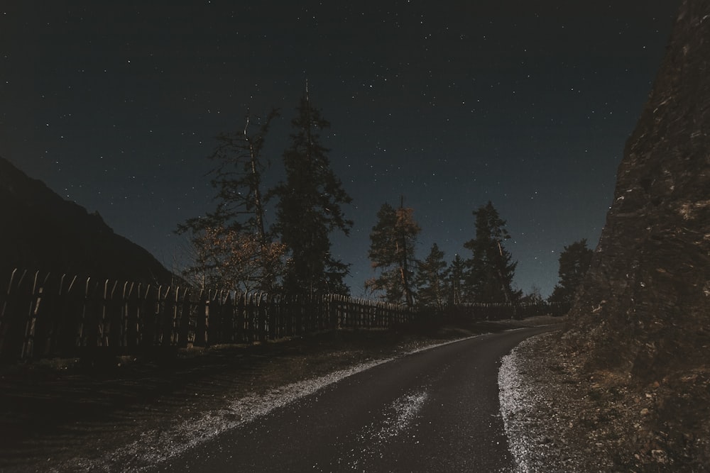 gray road beside trees and fence