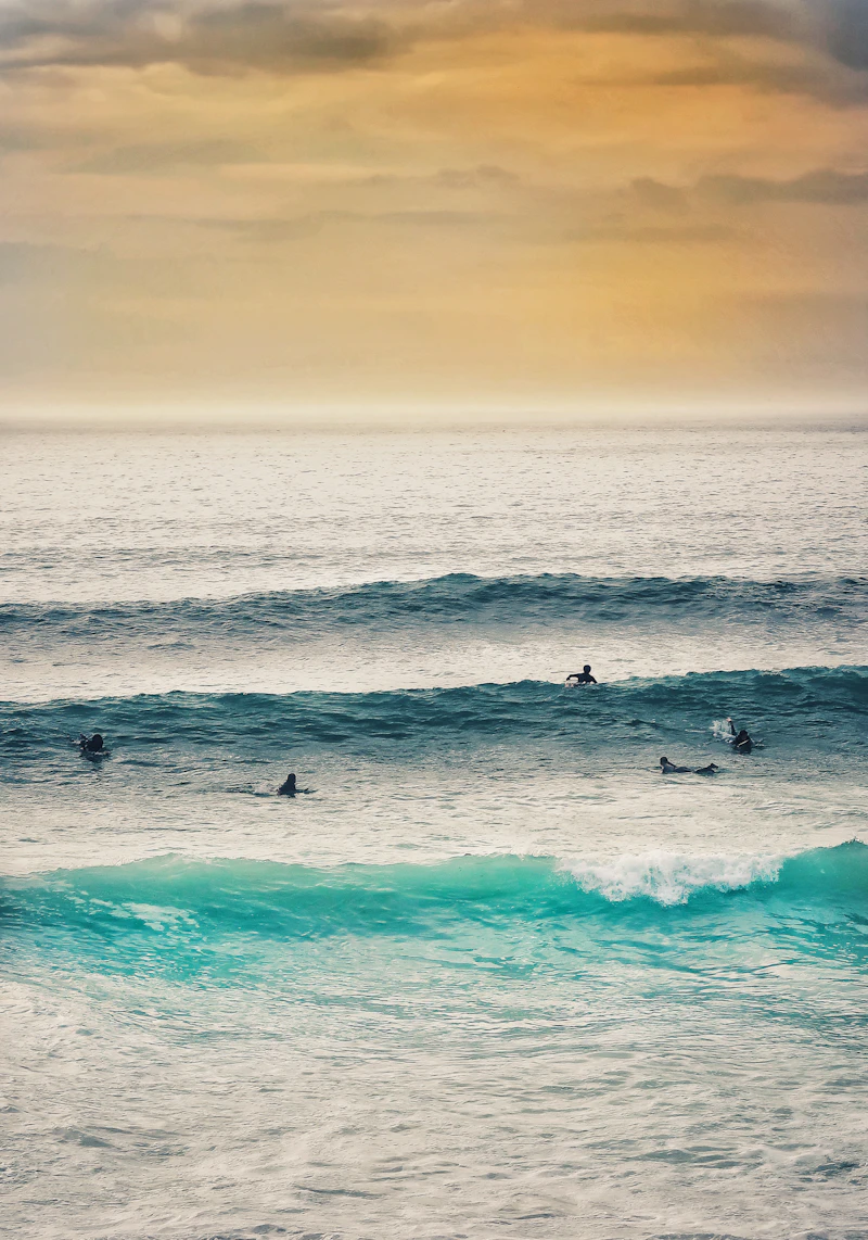 Surfers waiting for waves in the soft evening light off Newquay
