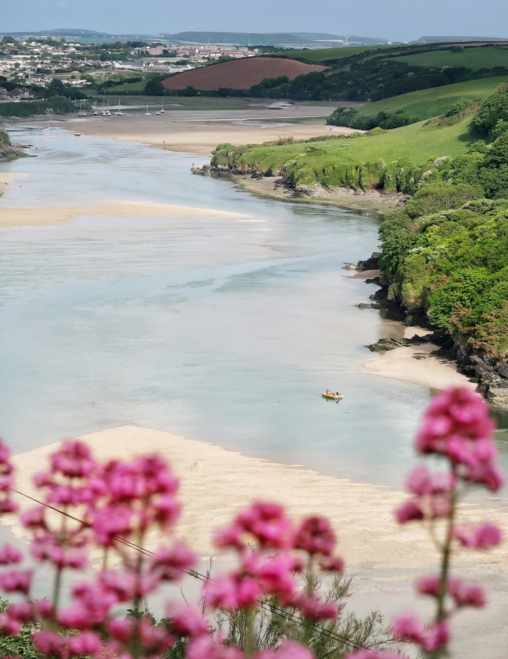 緑の芝生のそばの水域