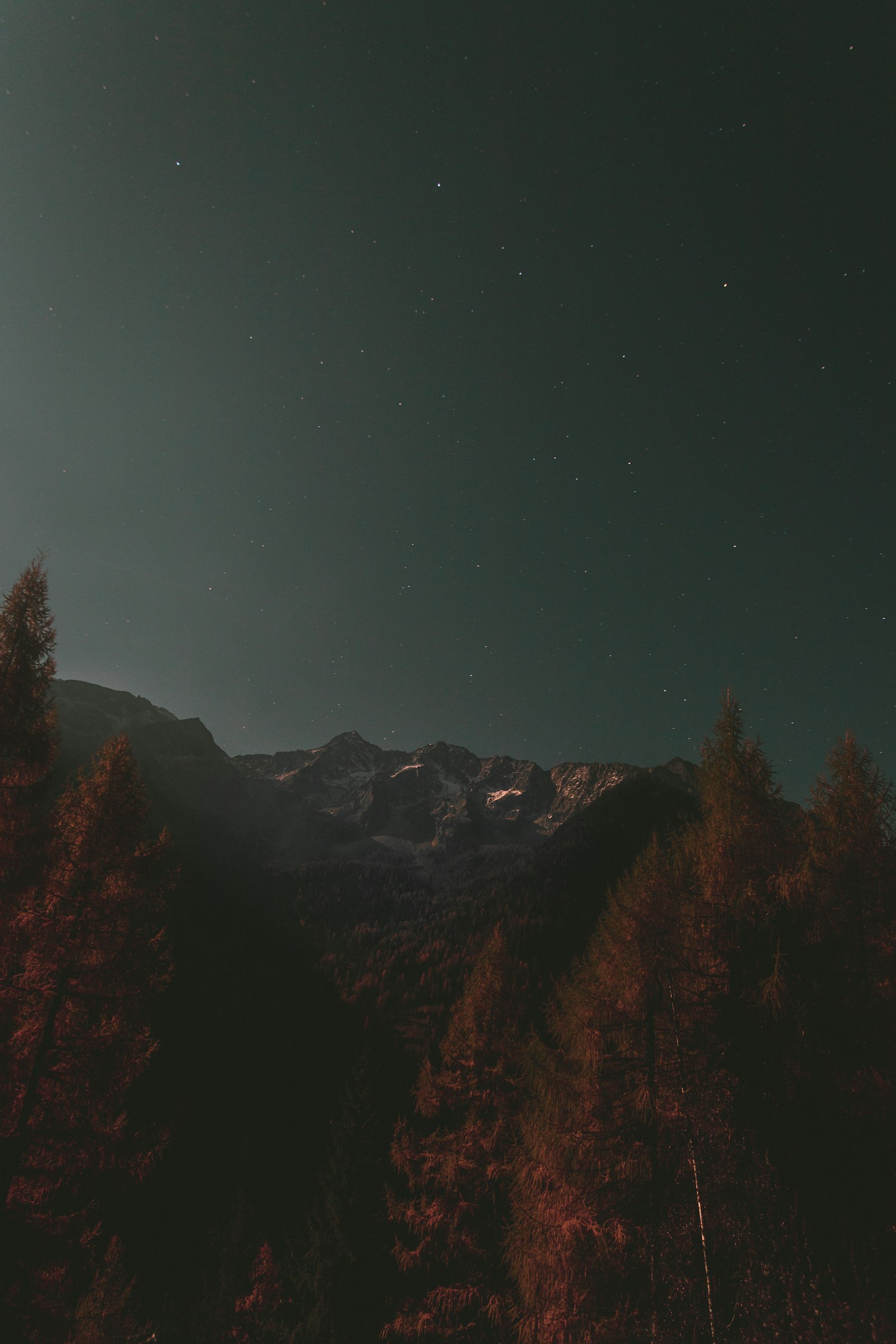 Canon EOS 70D sample photo. Pine trees with snow-capped photography