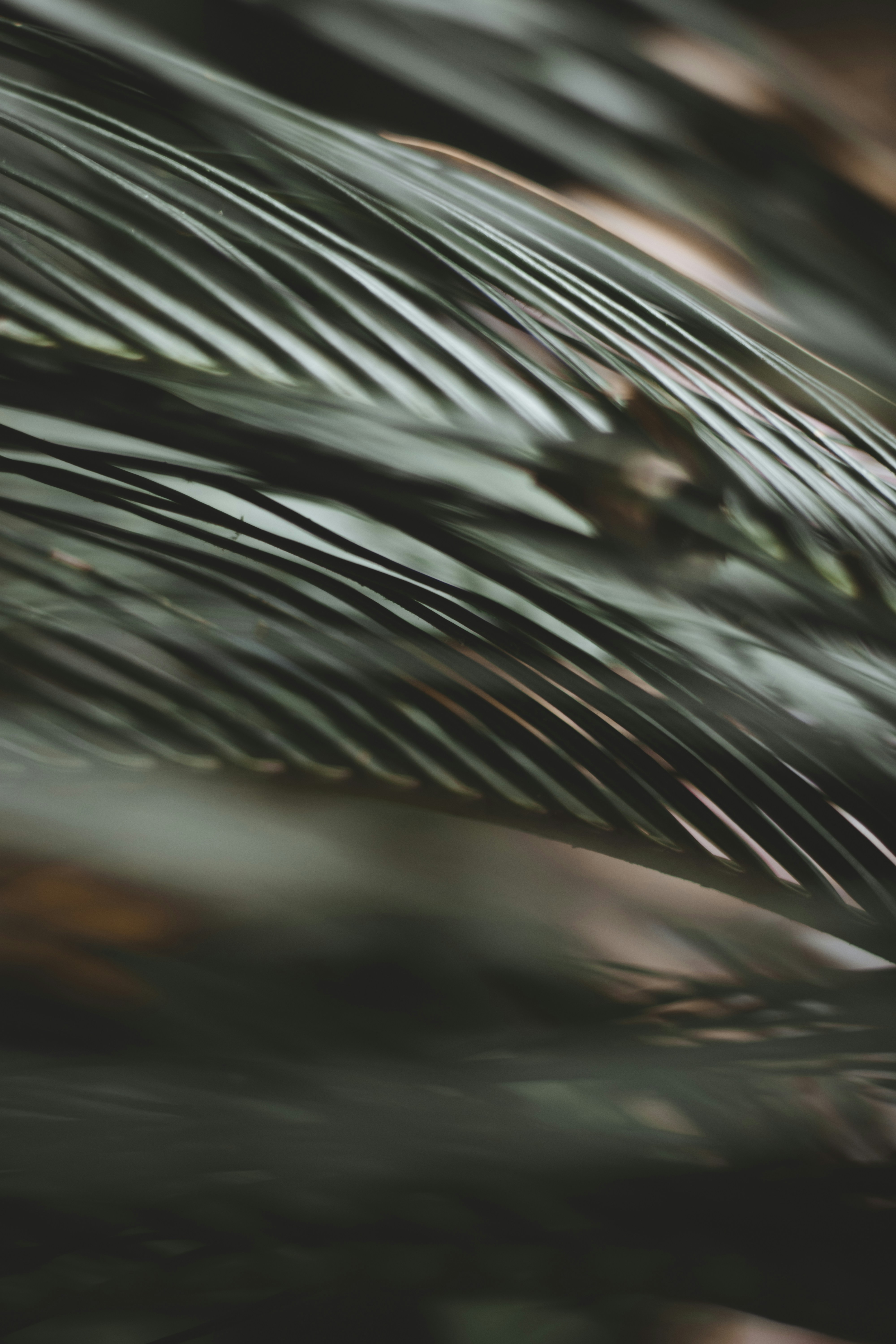 Photo by arashasghari