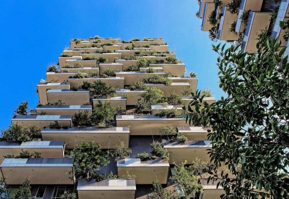 vista a occhio di verme dell'edificio in cemento bianco