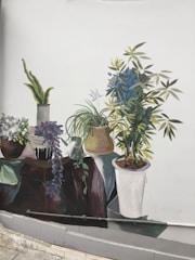 A mural depicts a collection of potted plants arranged on a surface. The plants vary in size and type, including leafy greens and flowering varieties. The colors are vibrant, with a mix of green, blue, and other natural hues. The background is plain, highlighting the detailed illustration of the plants.