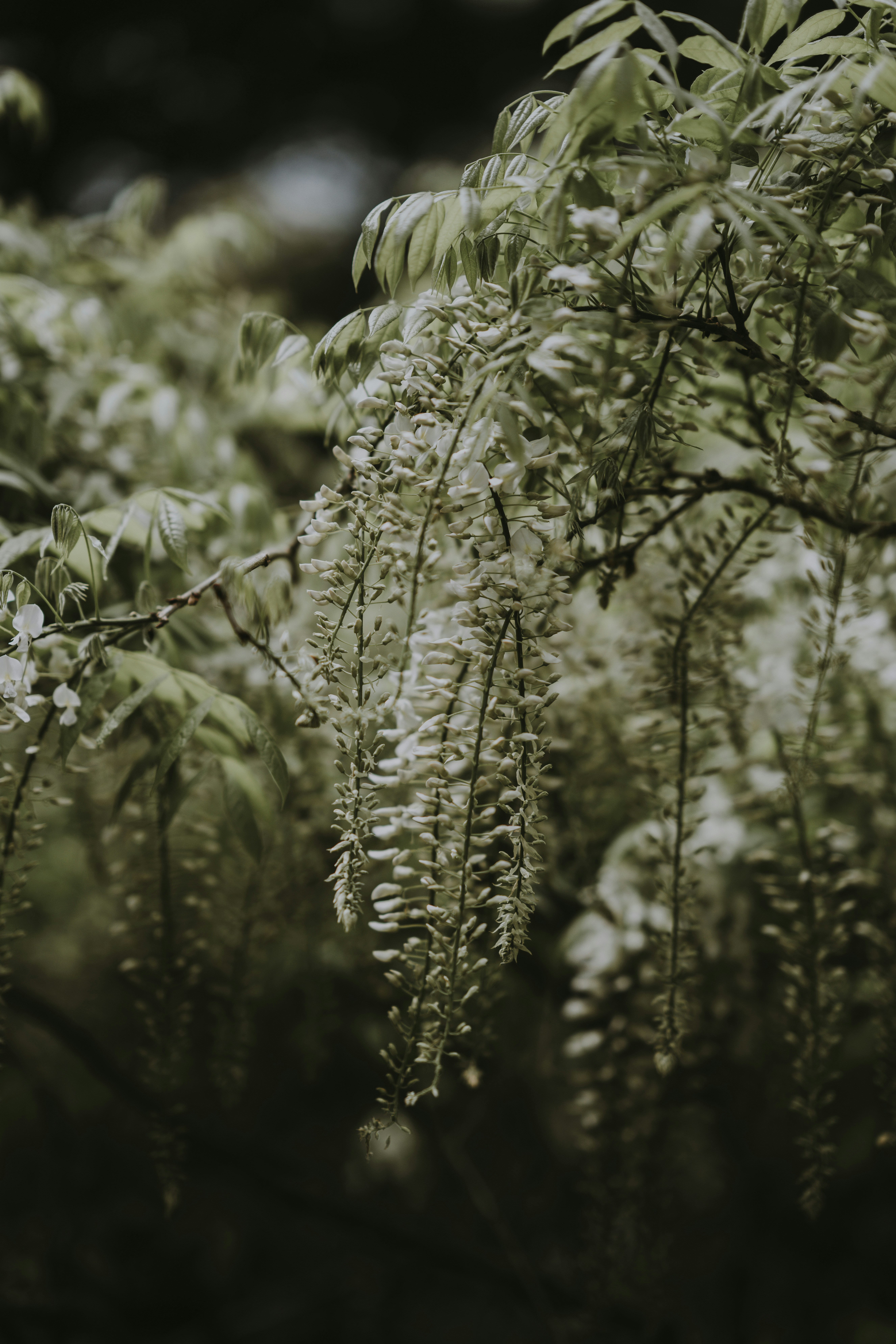 Photo by anniespratt