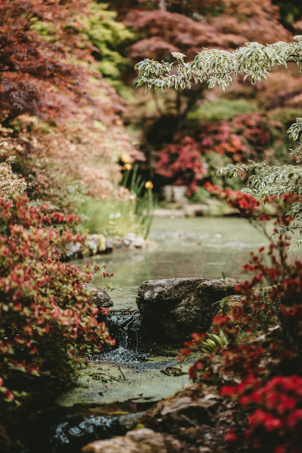 river near flowers at daytime