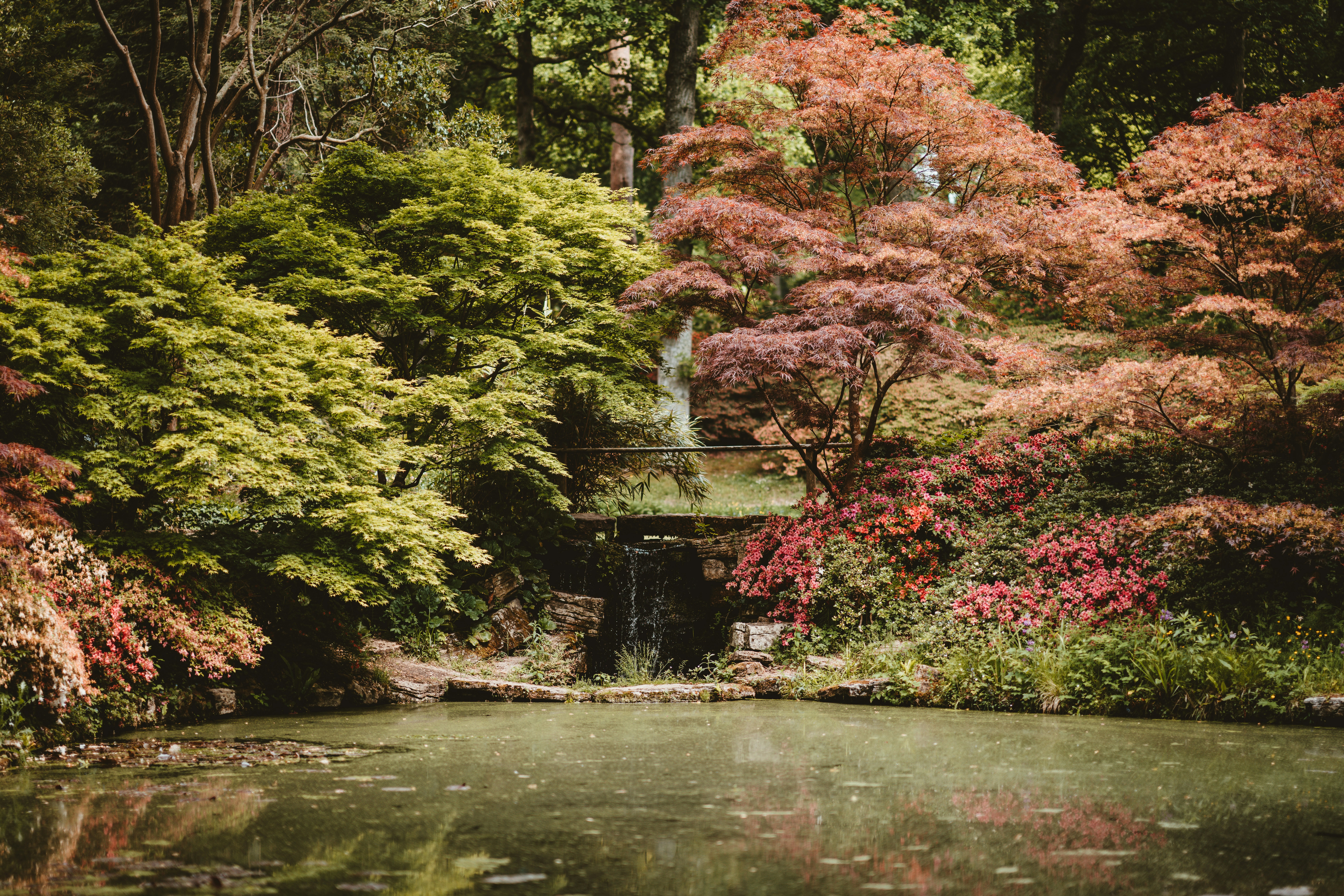 Photo by anniespratt