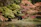 A peaceful garden scene symbolizing relaxation and inner calm.