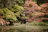 A peaceful garden scene symbolizing relaxation and inner calm.