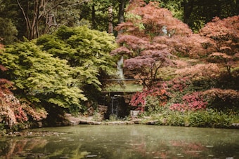 A serene garden scene featuring a small waterfall cascading into a tranquil pond surrounded by lush foliage. Vibrant flowers and a variety of trees in shades of green and red create a harmonious and peaceful atmosphere.
