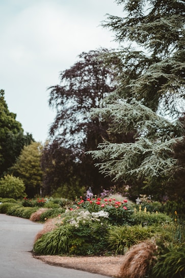 A lush garden scene with a variety of plants and trees. Vibrant red and white flowers bloom amidst dense greenery. Tall trees frame the setting, adding depth and texture. The curved pathway leads through a well-maintained garden with trimmed bushes and flowerbeds.