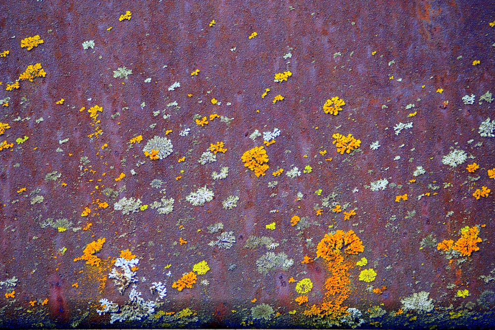 una superficie metálica oxidada con flores amarillas y blancas