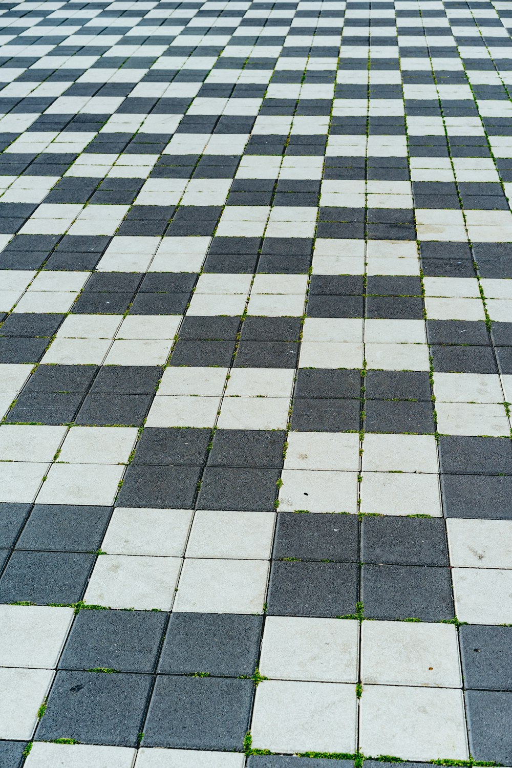 white and black checkered floor