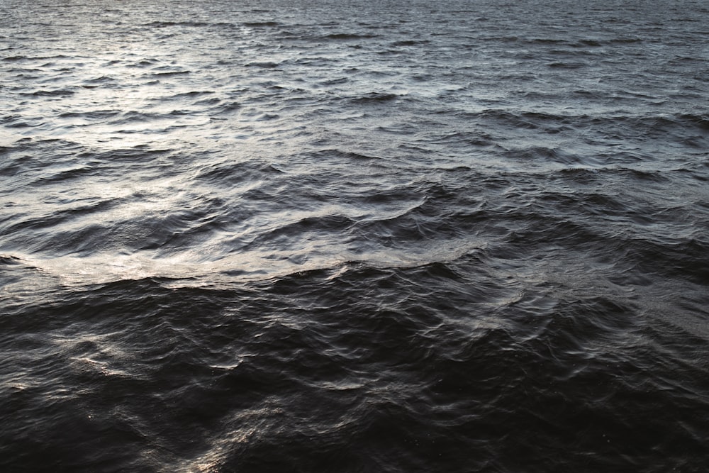 l'acqua dell'oceano durante il giorno