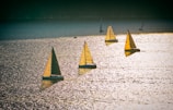 Golden sailboats glowing in the early morning light over Tampa Bay.