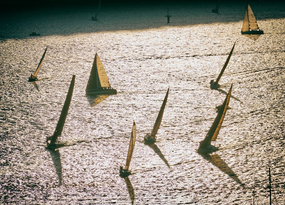 sail boats on body of water